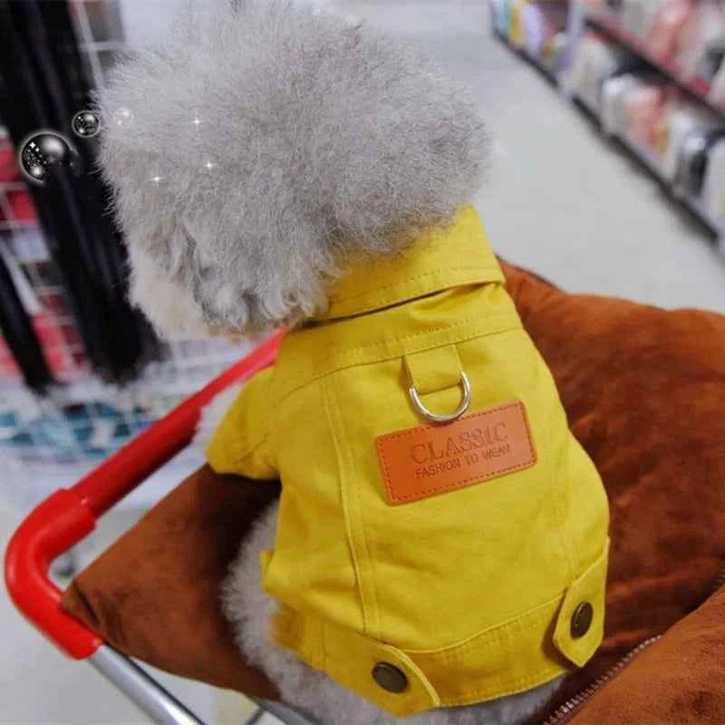 Spring Denim Dog Costume – Coat & Leash for Small Dogs