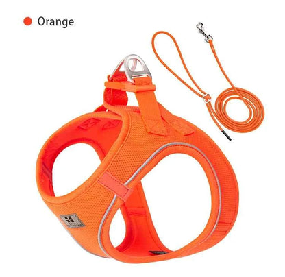 Dog harness and leash – adjustable and reflective set