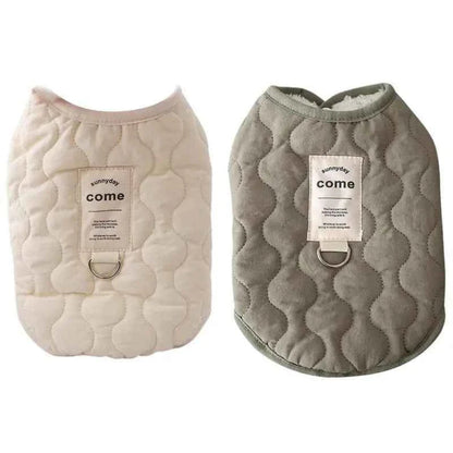 Winter clothes for dogs