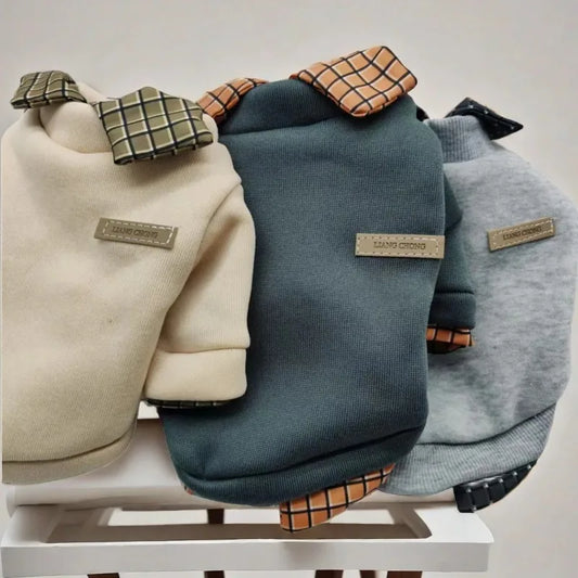 Dog clothes with collar