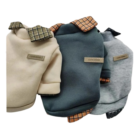 Dog clothes with collar