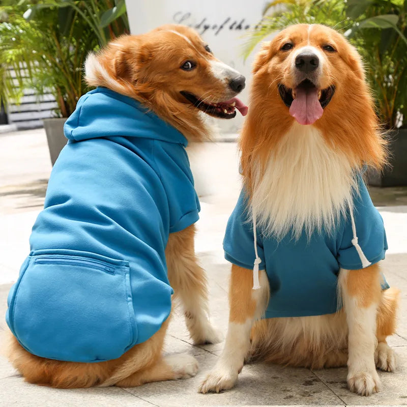 Winter dog coat with hood