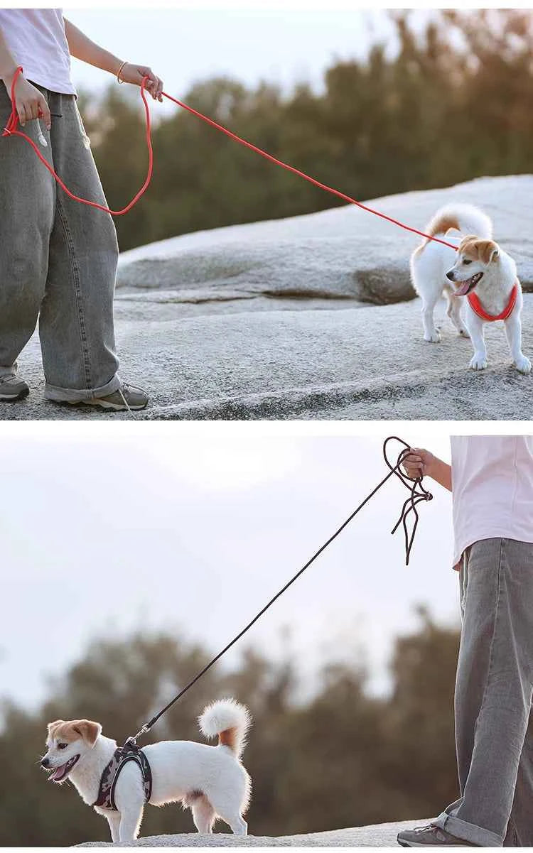 Dog harness and leash – adjustable and reflective set