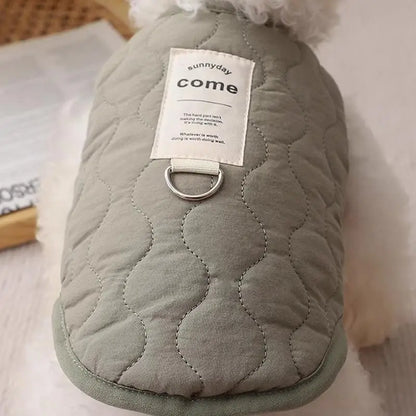 Winter clothes for dogs