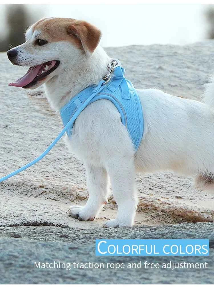 Dog harness and leash – adjustable and reflective set