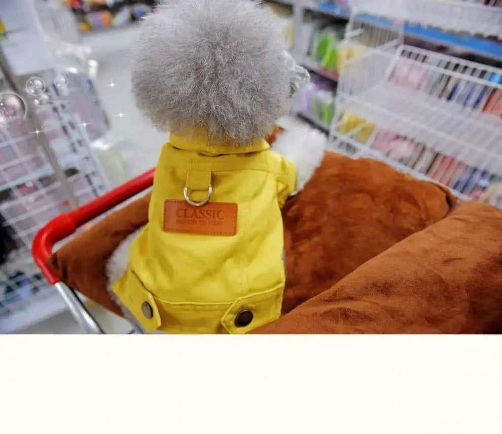 Spring Denim Dog Costume – Coat & Leash for Small Dogs