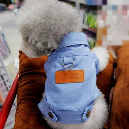 Spring Denim Dog Costume – Coat & Leash for Small Dogs